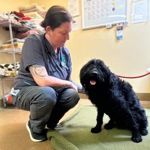 Meet your Posher, Edgardo